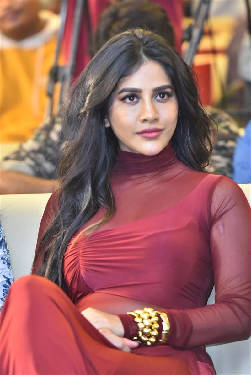 Telugu Actress Nabha Natesh at Darling Movie Title Launch